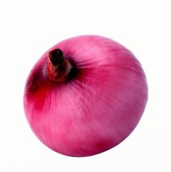 Chinese red onion